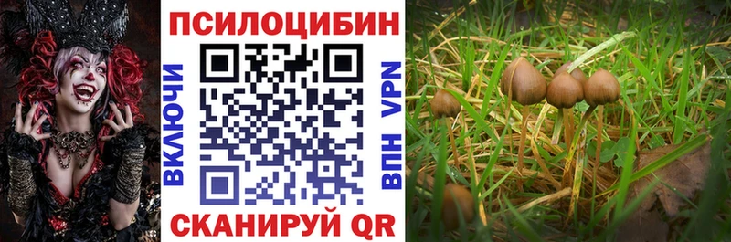 Псилоцибиновые грибы Cubensis Николаевск